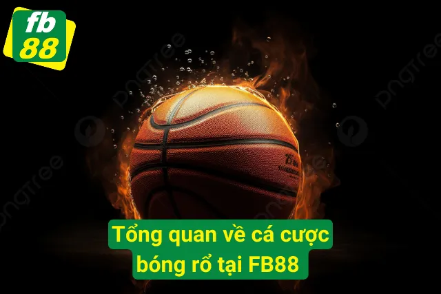 Tổng quan về bộ môn cá độ bóng rổ