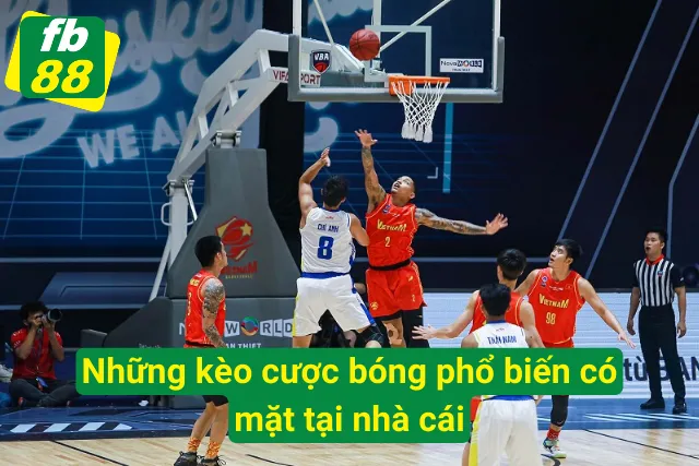 Tổng hợp những kèo cược bóng rổ được yêu thích nhất
